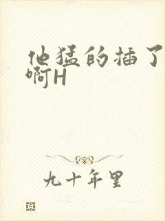 他猛的插了进去啊H