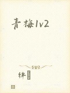 青梅1v2