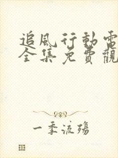 追风行动电视剧全集免费观看