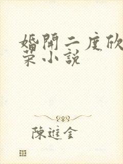婚开二度欣欣向荣小说