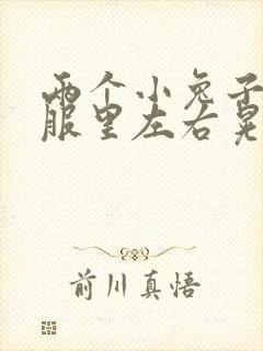 两个小兔子在衣服里左右晃