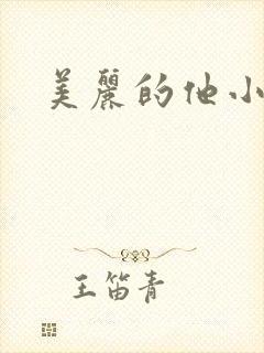美丽的他小说
