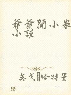 爷爷开小米的包小说