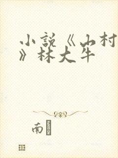 小说《山村情事》林大牛