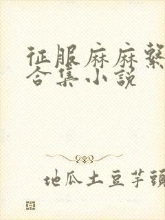 征服麻麻系列大合集小说