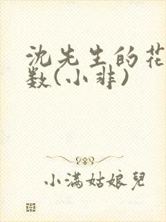 沈先生的花式调数(小非)