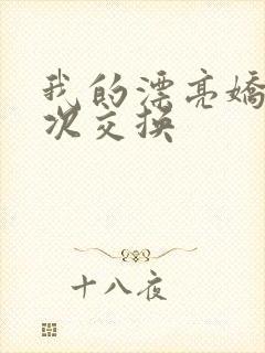 我的漂亮娇妻初次交换