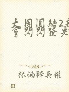 大团圆结2亲情会闪闪发光亲情会在线观看