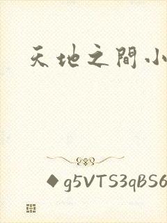 天地之间小说