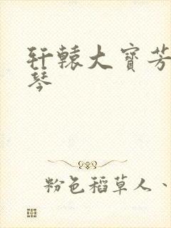 轩辕大宝芳菲雅琴