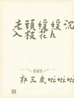 老头缓缓沉腰进入校花h