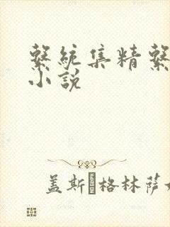 系统集精系统 小说