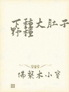 下种大肚子怀孕野种