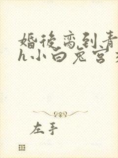 婚后脔到青梅哭h小白兔宫交h