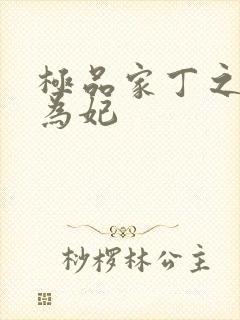 极品家丁之册母为妃