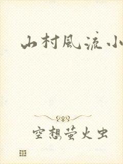 山村风流小说