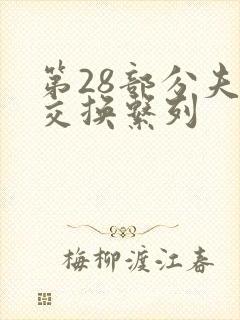 第28部分夫妇交换系列