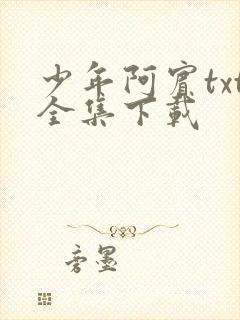 少年阿宾txt全集下载