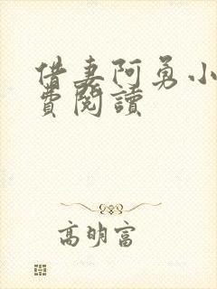 借妻阿勇小说免费阅读