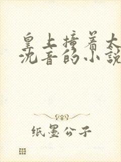 皇上撞着太子妃沈音的小说叫什么