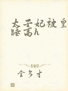 太子妃被皇上强睡高h