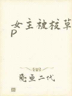 女主被校草们NP