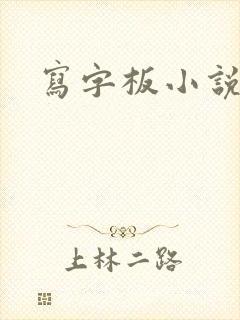 写字板小说