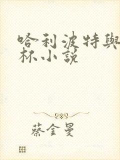 哈利波特与火焰杯小说