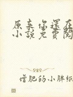 原来你还在这里小说免费阅读