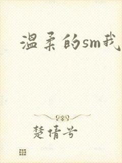 温柔的sm我