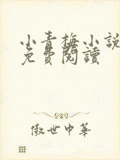 小青梅小说全文免费阅读