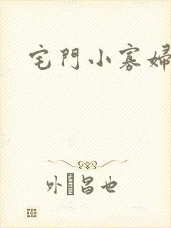 宅门小寡妇