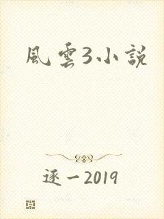风云3小说