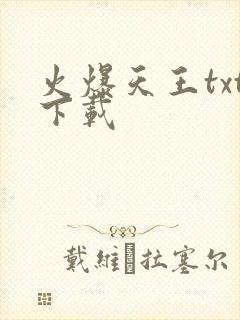 火爆天王txt下载