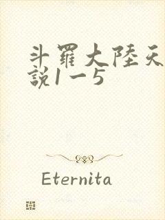 斗罗大陆天狂传说1一5