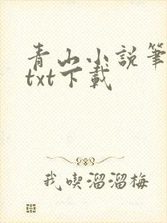 青山小说笔趣阁txt下载
