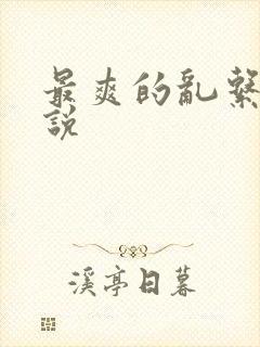 最爽的乱系列小说