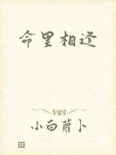 命里相逢