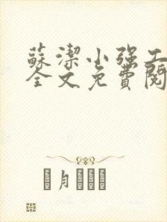 苏洁小强工地情全文免费阅读