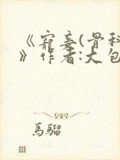 《宠妾(骨科)》作者:大包子