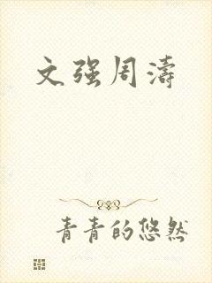 文强周涛