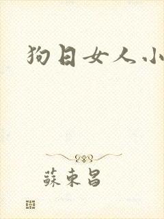 狗日女人小说