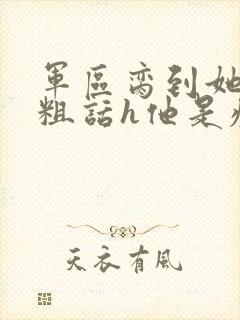 军区脔到她哭h粗话h他是疯批