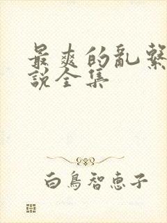 最爽的乱系列小说全集