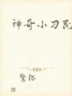 神奇小刁民