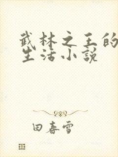 武林之王的退隐生活小说