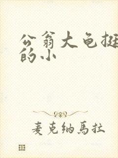 公翁大龟挺进我的小