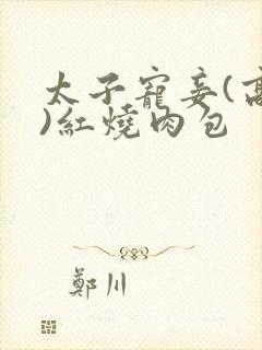太子宠妾(高肉)红烧肉包