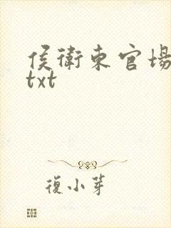 侯卫东官场笔记txt