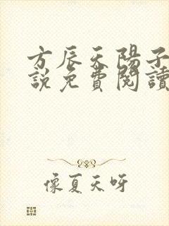 方辰天阳子的小说免费阅读